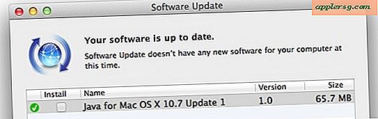 java update for mac 10.6
